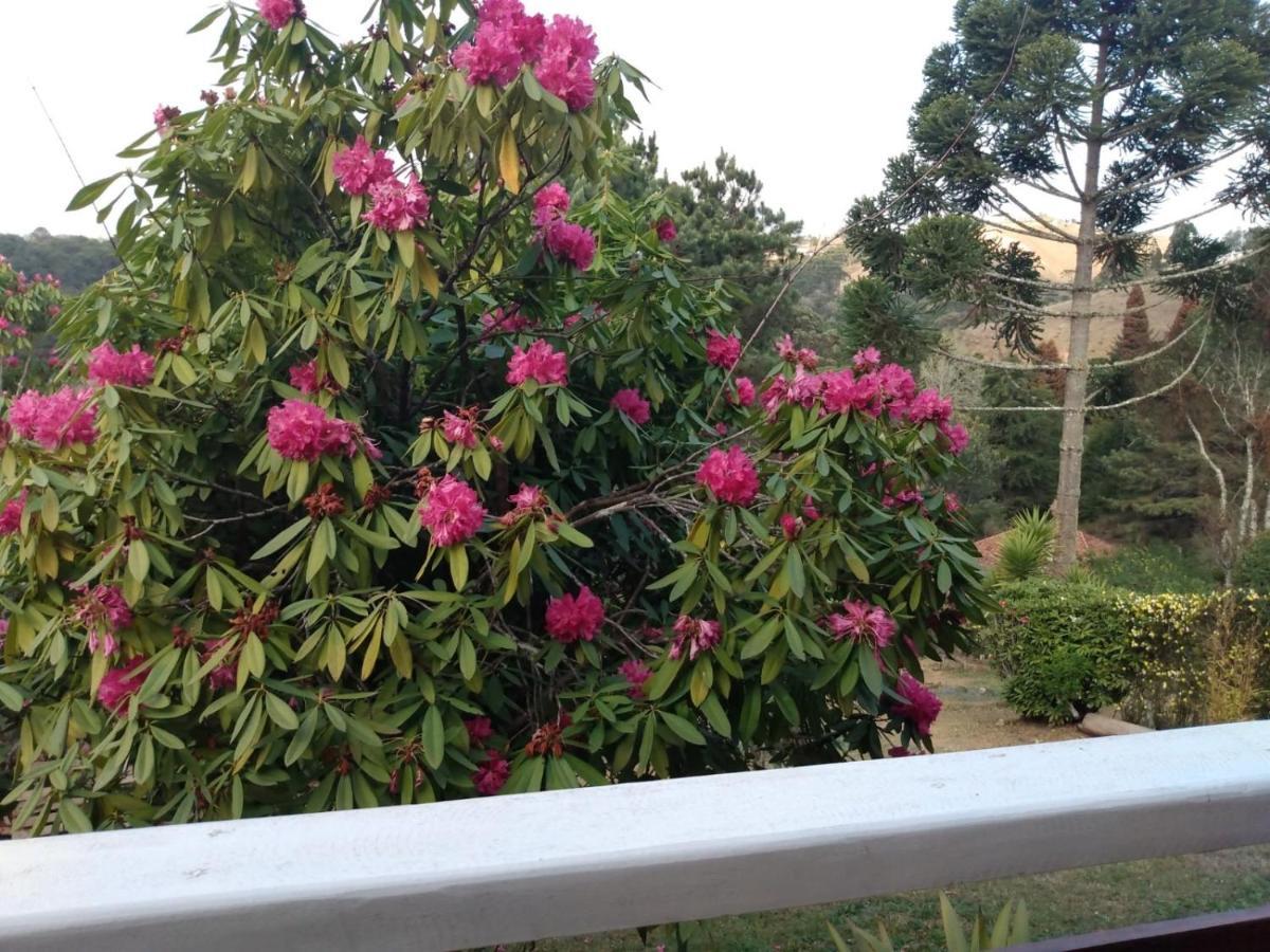Casa Flor De Liz Villa Campos do Jordão Екстериор снимка
